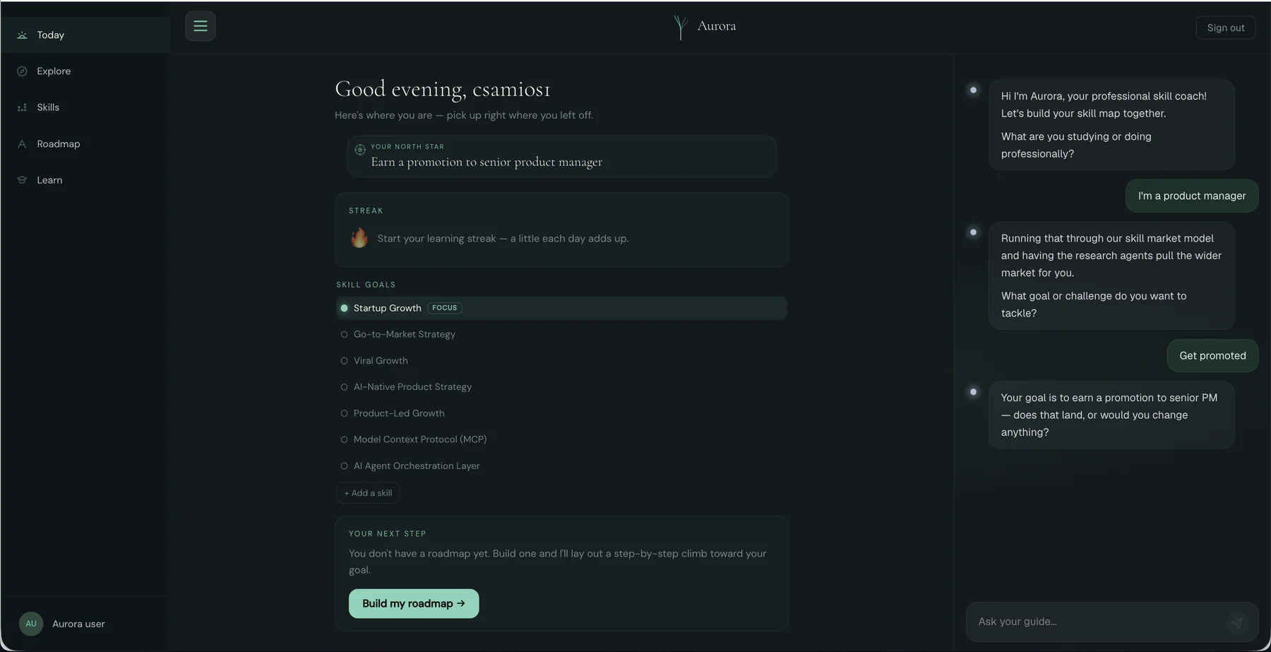 Aurora Today screen showing the north star goal, a learning streak, skill goals and a next step to build a roadmap
